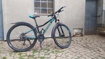 Kolo Kross Lea 5.0