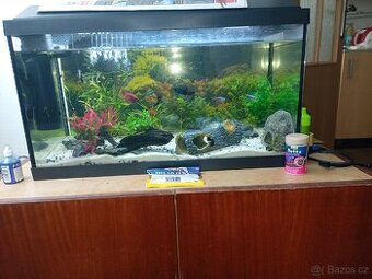 Akvárium 60 L