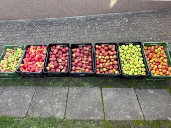 Prodám česaná jablka