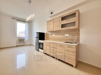 Pronájem bytu 1+kk 19 m²