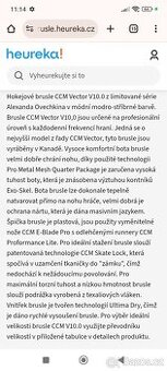 Profesionální hokejové brusle