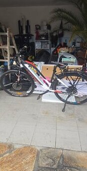 Elkolo Lectron Altezza R 2024 
Lectron Altezza R 2024
