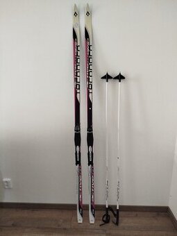 Běžky TecnoPro 191cm