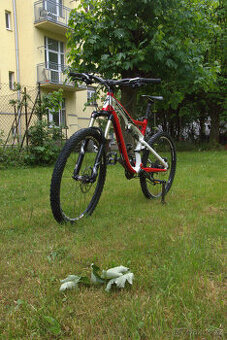 Specialized Expert Celoodpružené