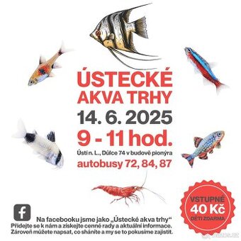 Ústecké akva trhy