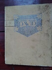 Kniha v kůži Lothar Suchý - DAVID - 1