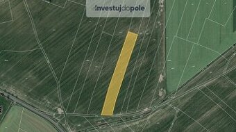 Prodej pole v k.ú. Němčice u Kolína