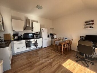 Pronájem bytu 1+kk se zahradou, Lipenská, České Budějovice