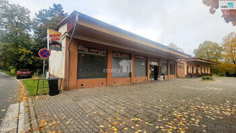 Pronájem, sklep 160 m2, ul. 9. května, Chvaletice