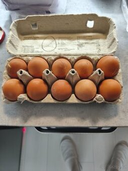 Domácí vejce, vajíčka,