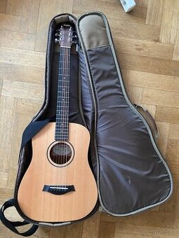 Taylor BT1e left handed