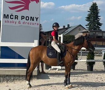Sportovní pony A