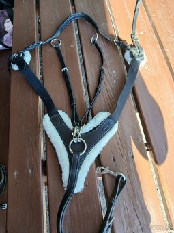 Poprsnik HKM Cambridge