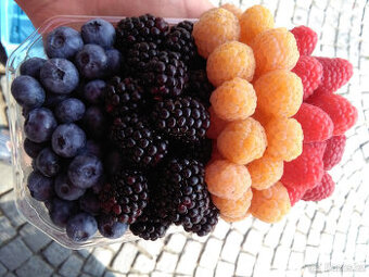 Zahradnické služby