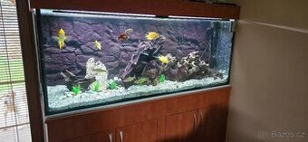 Prodám akvárium
