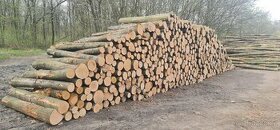 Tvrdé palivové dřevo - kamionový odběr