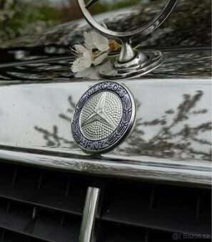 Mercedes 190/124 - znak masky