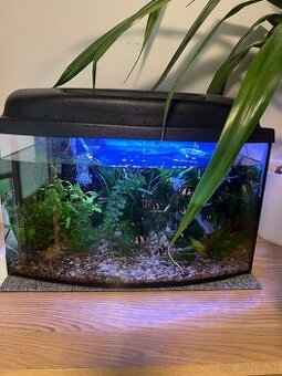 Akvárium 50x30x25
