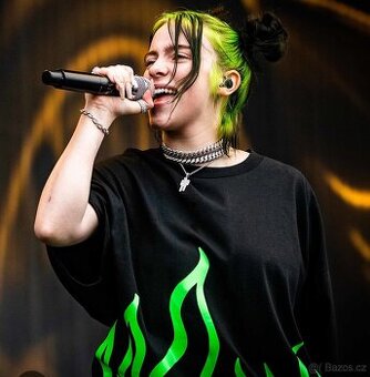 Billie Eilish prodám 3 vstupenky na stání 2 sezení
