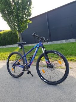KOLO ROCK MACHINE [29]