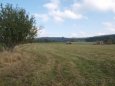 LUKRATIVNÍ pozemky u hranice se SRN - 24km-PRODEJ