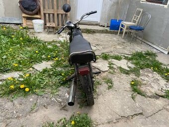 Jawa mustang
