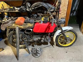 Jawa mustang