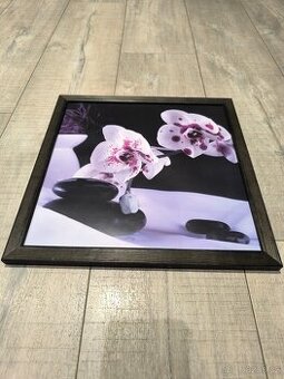 OBRAZ NA STĚNU (33 x 33 cm)