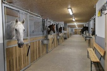 Stájník / stájnice - 1