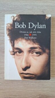 Bob Dylan: Dívám se, jak teče řeka