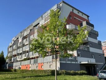 Prostorný byt 5+kk u Centrálního parku, pěkná a klidná lokal