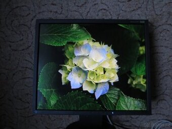 Monitor Eizo FlexScan S1910
