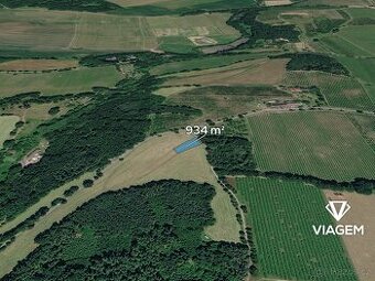Pole 934 m², Podíl 50 % o výměře 467 m²