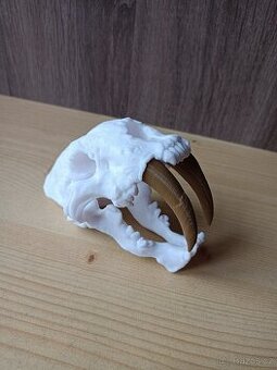 3D tisk-replika lebky šavlozubého tygra