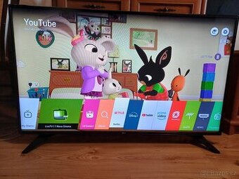 Smart TV LG 49LH6047-uhlopříčka 123cm,wifi, dvbt2