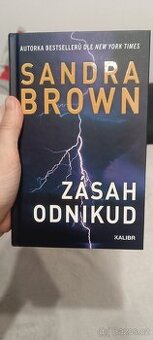 Kniha Zásah odnikud (Sandra Brown)