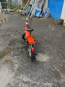 Babeta 207