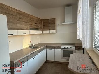 Pronájem, byty/2+1, 54 m2, Rychtaříkova, Východní Předměstí,