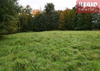Prodej stavebního pozemku s lesem 3332m2 na Karpentné - 1