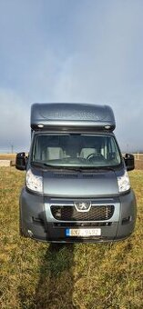 Přepravník na koně Peugeot boxer