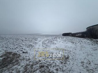 Prodej pole 4 209 m², Bořetice, ev.č. 130075JV - 1