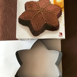 Vánoční hvězda Tescoma Delícia