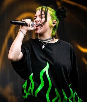 1x Billie Eilish Praha O2 Aréna 1.6. sektor 421