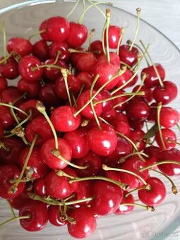 Třešně