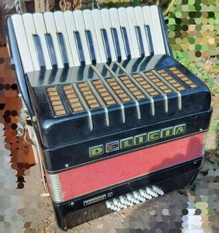 Harmonika Akordeon DELICIA Junior