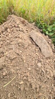 Hlína za odvoz – kamenitá / šotolina 🛻