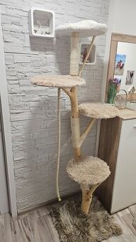 Kočičí strom, škrabadlo