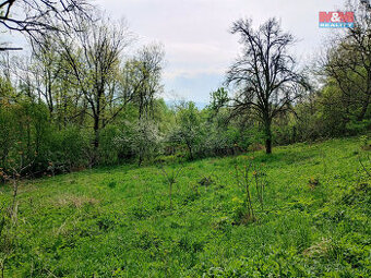 Prodej zahrady, 1436 m², Jeseník nad Odrou, Hůrka - 1