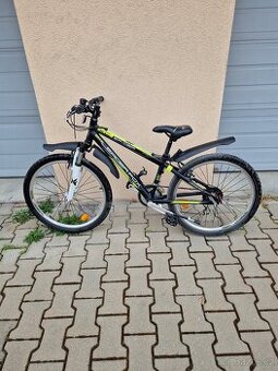 Chlapecké kolo 24