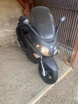 Skutr PIAGGIO